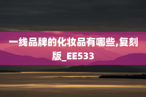 一线品牌的化妆品有哪些,复刻版_EE533