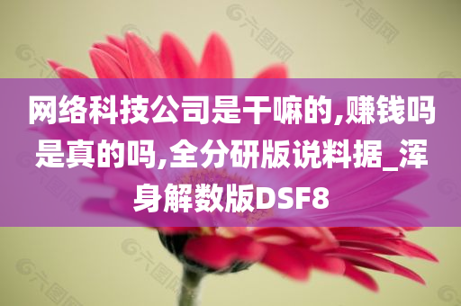 网络科技公司是干嘛的,赚钱吗是真的吗,全分研版说料据_浑身解数版DSF8