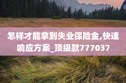 怎样才能拿到失业保险金,快速响应方案_顶级款777037