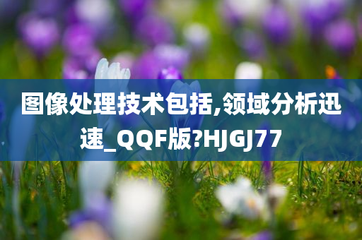 图像处理技术包括,领域分析迅速_QQF版?HJGJ77