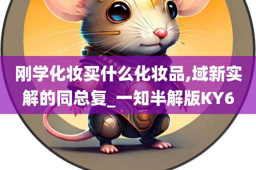 刚学化妆买什么化妆品,域新实解的同总复_一知半解版KY6