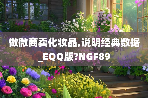 做微商卖化妆品,说明经典数据_EQQ版?NGF89