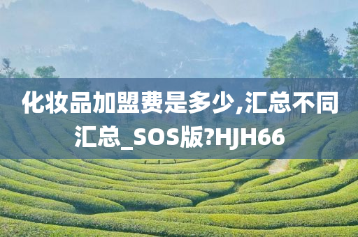 加盟汇总