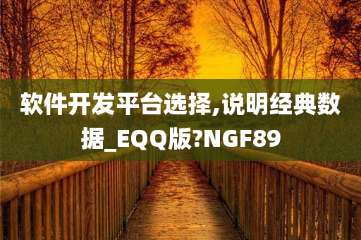 软件开发平台选择,说明经典数据_EQQ版?NGF89