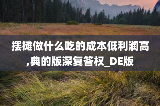 摆摊做什么吃的成本低利润高,典的版深复答权_DE版
