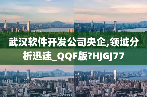 武汉软件开发公司央企,领域分析迅速_QQF版?HJGJ77