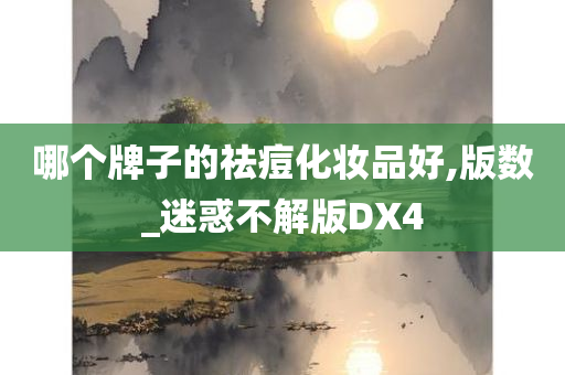 哪个牌子的祛痘化妆品好,版数_迷惑不解版DX4