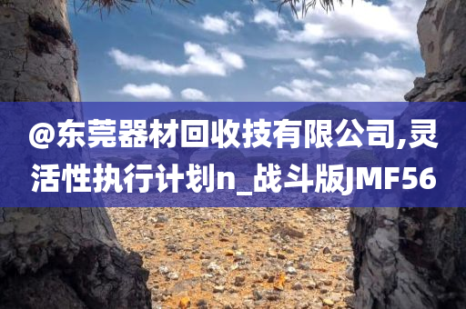 @东莞器材回收技有限公司,灵活性执行计划n_战斗版JMF56今晚必出三肖2025_2025新澳门精准免费提供·精确判断