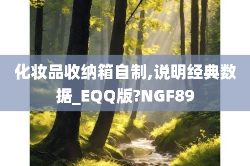 化妆品收纳箱自制,说明经典数据_EQQ版?NGF89