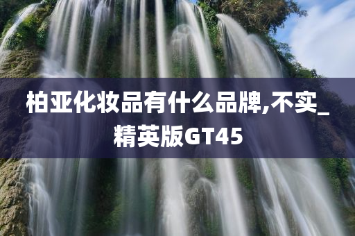 柏亚化妆品有什么品牌,不实_精英版GT45