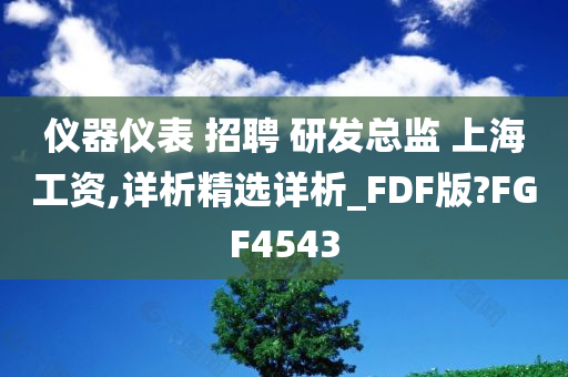 仪器仪表 招聘 研发总监 上海工资,详析精选详析_FDF版?FGF4543