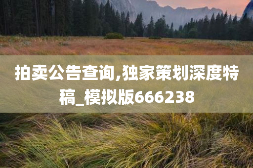 拍卖公告查询,独家策划深度特稿_模拟版666238
