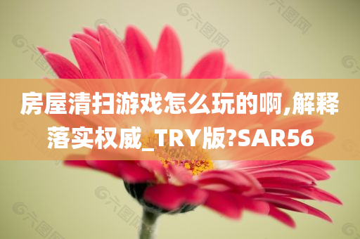 房屋清扫
