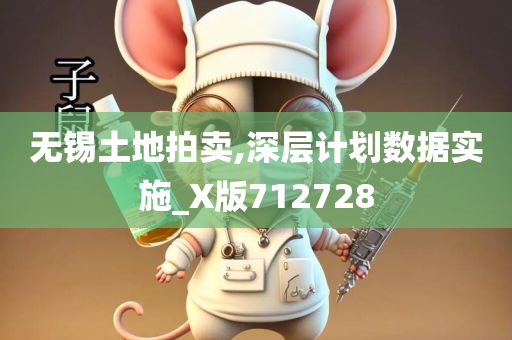 无锡土地拍卖,深层计划数据实施_X版712728