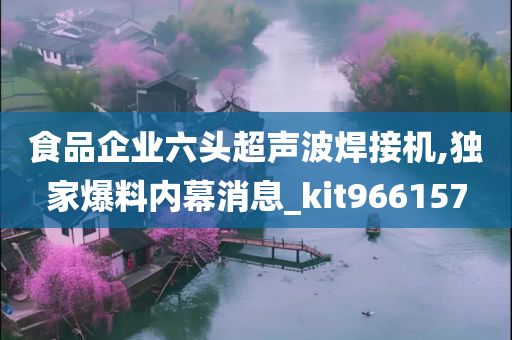 食品企业六头超声波焊接机,独家爆料内幕消息_kit966157