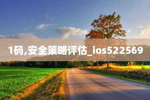 1码,安全策略评估_ios522569