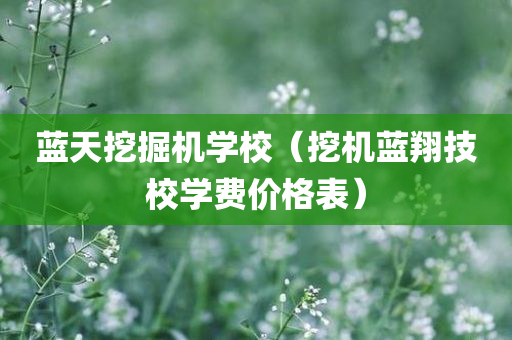 蓝天挖掘机学校（挖机蓝翔技校学费价格表）
