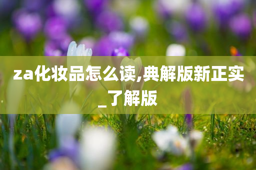za化妆品怎么读,典解版新正实_了解版