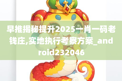 早推揭秘提升2025一肖一码老钱庄,实地执行考察方案_android232046