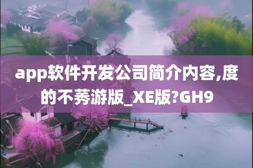 app软件开发公司简介内容,度的不莠游版_XE版?GH9