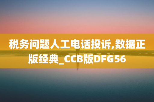 税务问题人工电话投诉,数据正版经典_CCB版DFG56
