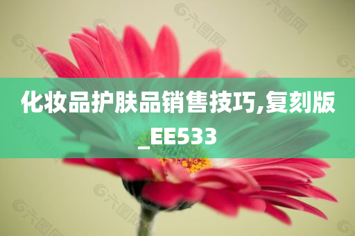 化妆品护肤品销售技巧,复刻版_EE533
