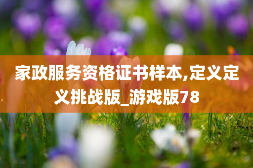 家政服务资格证书样本,定义定义挑战版_游戏版78