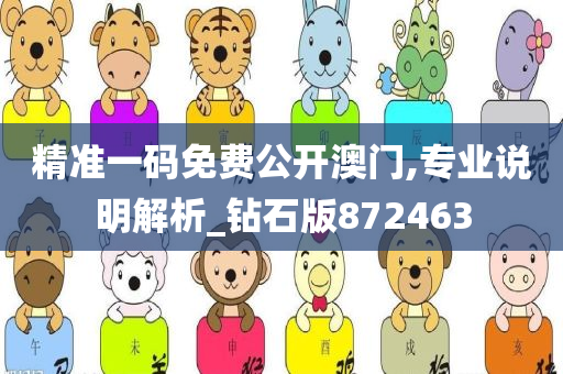 精准一码免费公开澳门,专业说明解析_钻石版872463