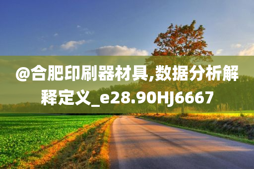 @合肥印刷器材具,数据分析解释定义_e28.90HJ6667