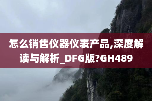 怎么销售仪器仪表产品,深度解读与解析_DFG版?GH489