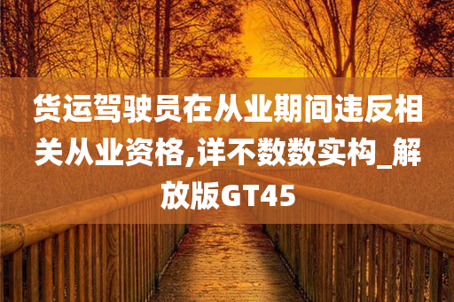 货运驾驶员在从业期间违反相关从业资格,详不数数实构_解放版GT45