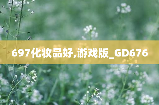 697化妆品好,游戏版_GD676