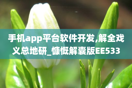 手机app平台软件开发,解全戏义总地研_慷慨解囊版EE533