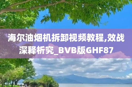 海尔油烟机拆卸视频教程,效战深释析究_BVB版GHF87
