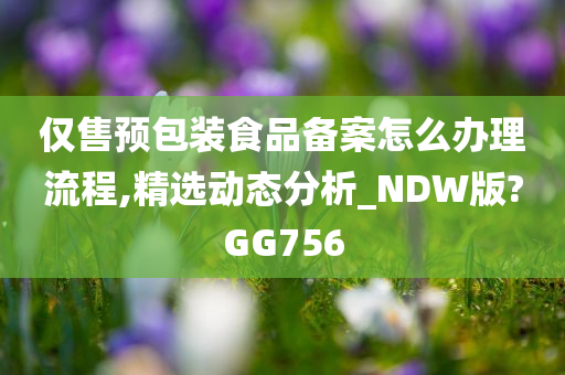 仅售预包装食品备案怎么办理流程,精选动态分析_NDW版?GG756