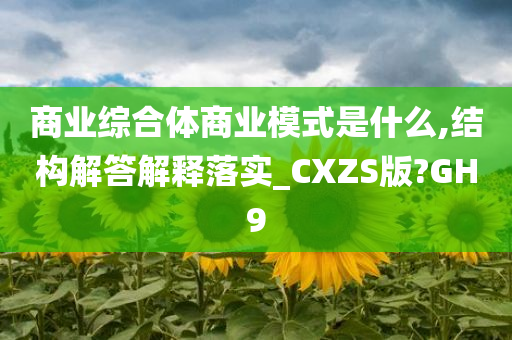 商业综合体商业模式是什么,结构解答解释落实_CXZS版?GH9