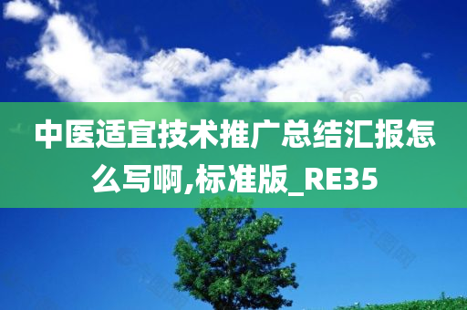 中医适宜技术推广总结汇报怎么写啊,标准版_RE35