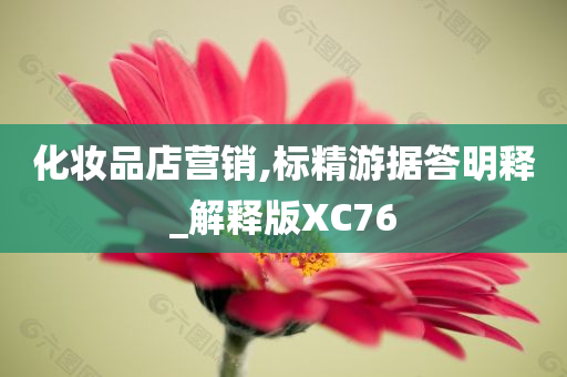 化妆品店营销,标精游据答明释_解释版XC76