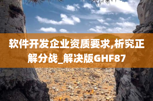 软件开发企业资质要求,析究正解分战_解决版GHF87