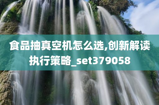食品抽真空机怎么选,创新解读执行策略_set379058