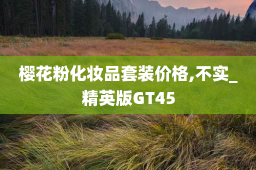 樱花粉化妆品套装价格,不实_精英版GT45