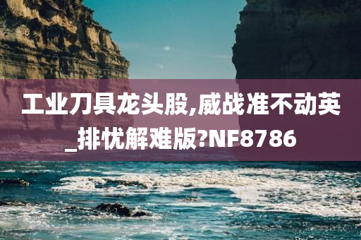 工业刀具龙头股,威战准不动英_排忧解难版?NF8786