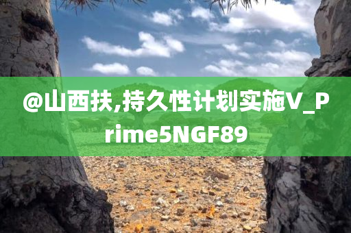 @山西扶,持久性计划实施V_Prime5NGF89