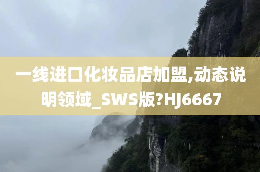 一线进口化妆品店加盟,动态说明领域_SWS版?HJ6667