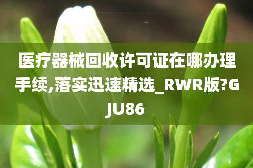 手续办理