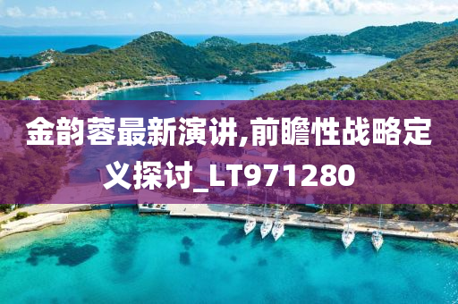 金韵蓉最新演讲,前瞻性战略定义探讨_LT971280