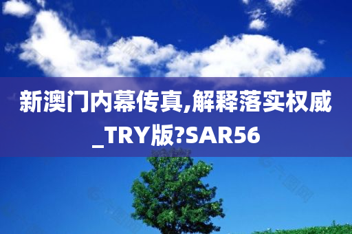 新澳门内幕传真,解释落实权威_TRY版?SAR56