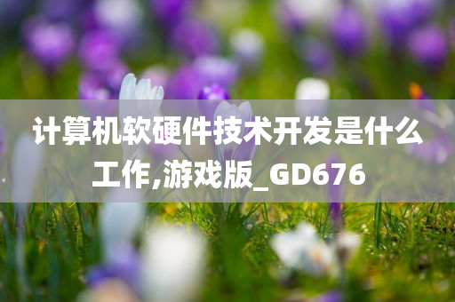计算机软硬件技术开发是什么工作,游戏版_GD676