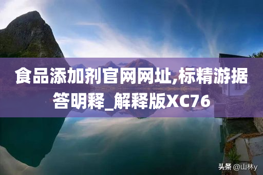 食品添加剂官网网址,标精游据答明释_解释版XC76