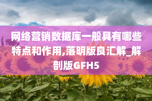 网络营销